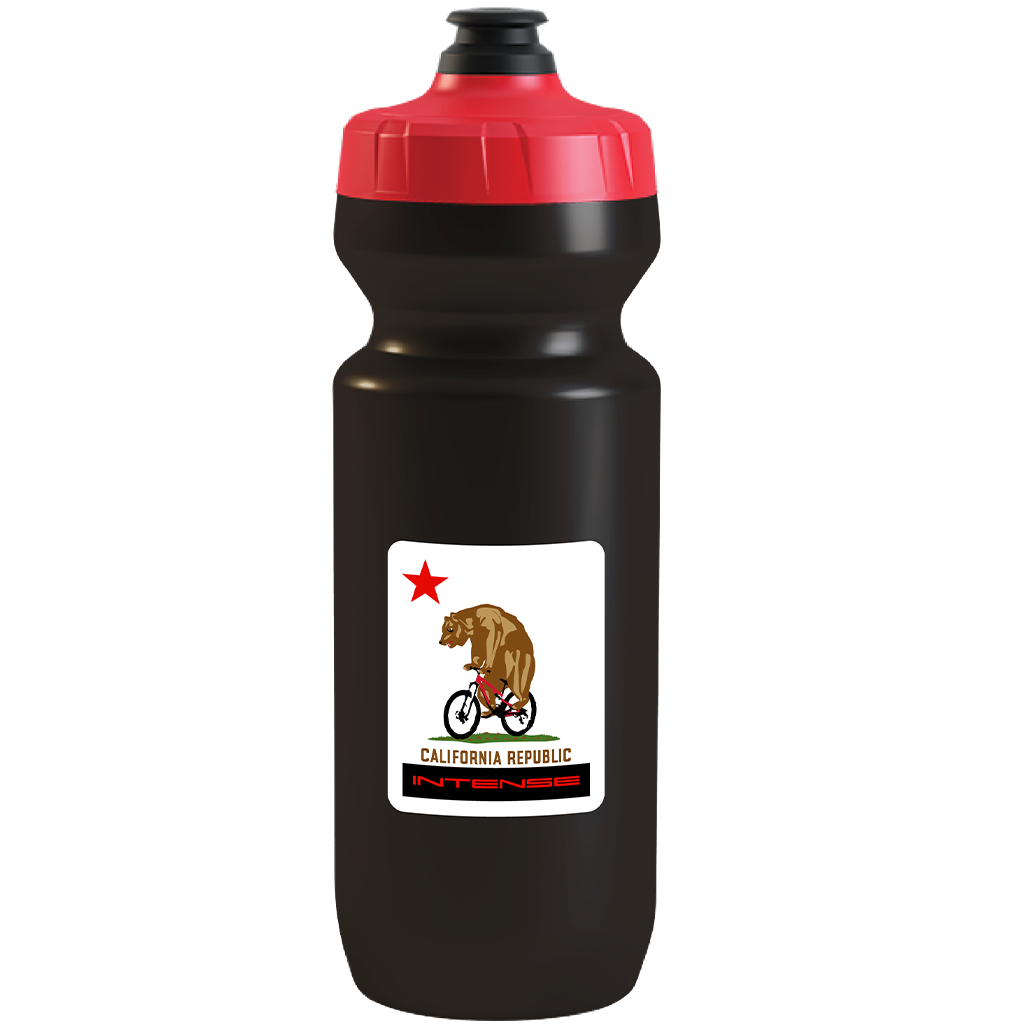 California Bear Water Bottle 22oz – INTENSE LLC