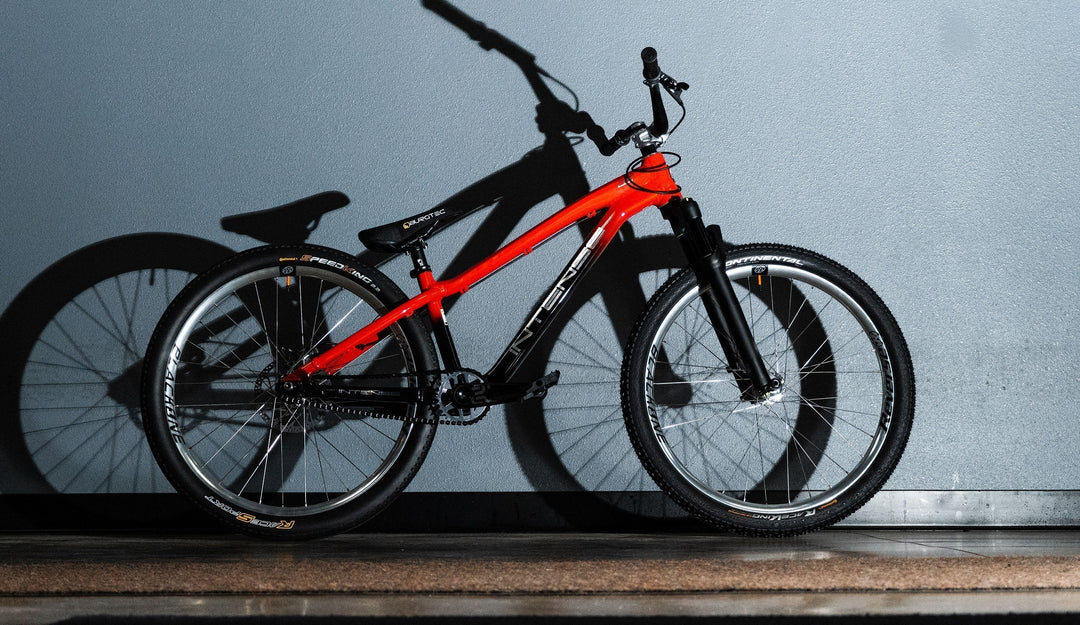 INSIDE KORE NORTH: A CONVERSATION WITH JAMES SILVERIA