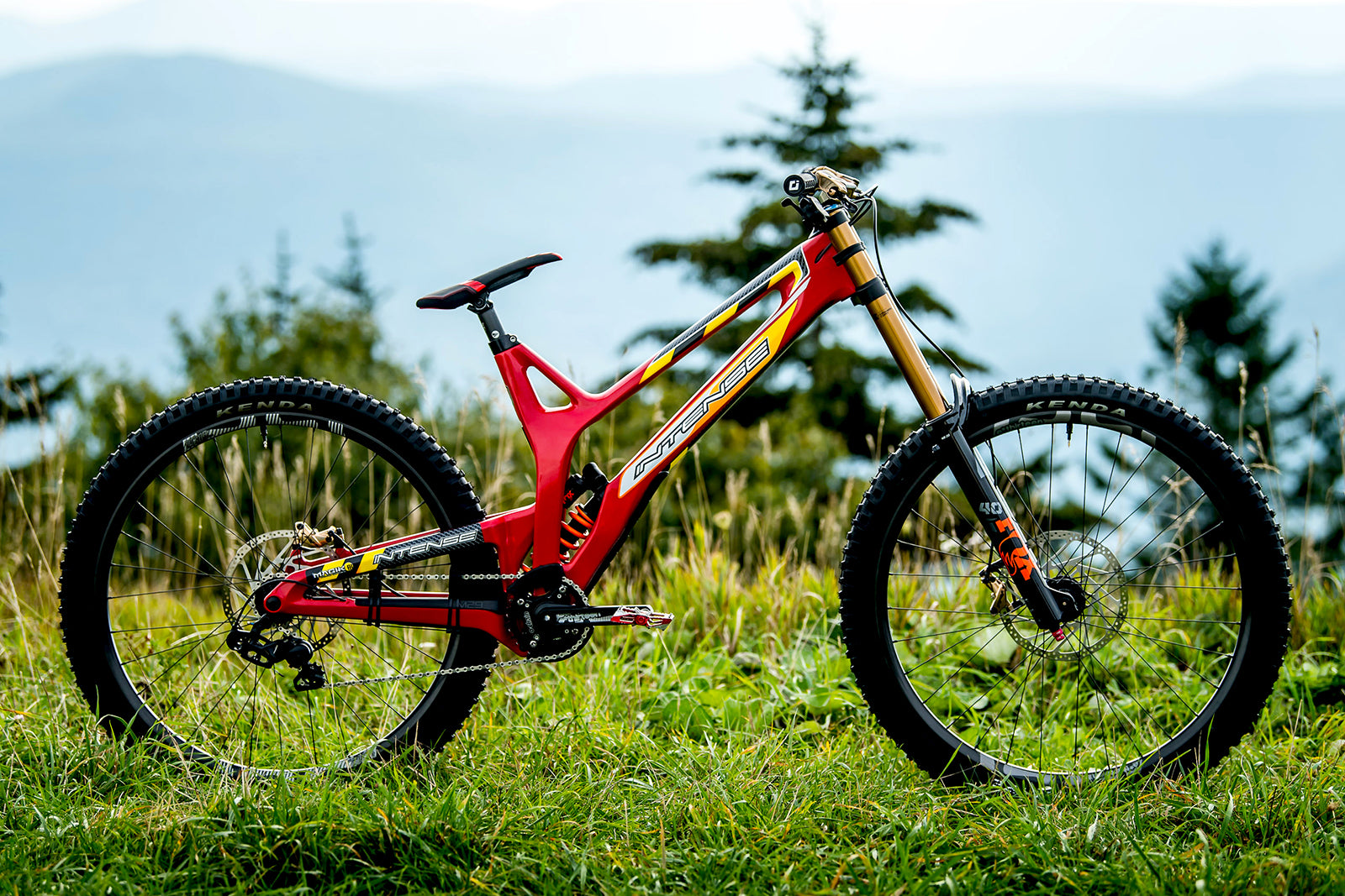 WIN NEKO MULALLY'S RETRO INSPIRED M29 DH BIKE – INTENSE Cycleworks LLC
