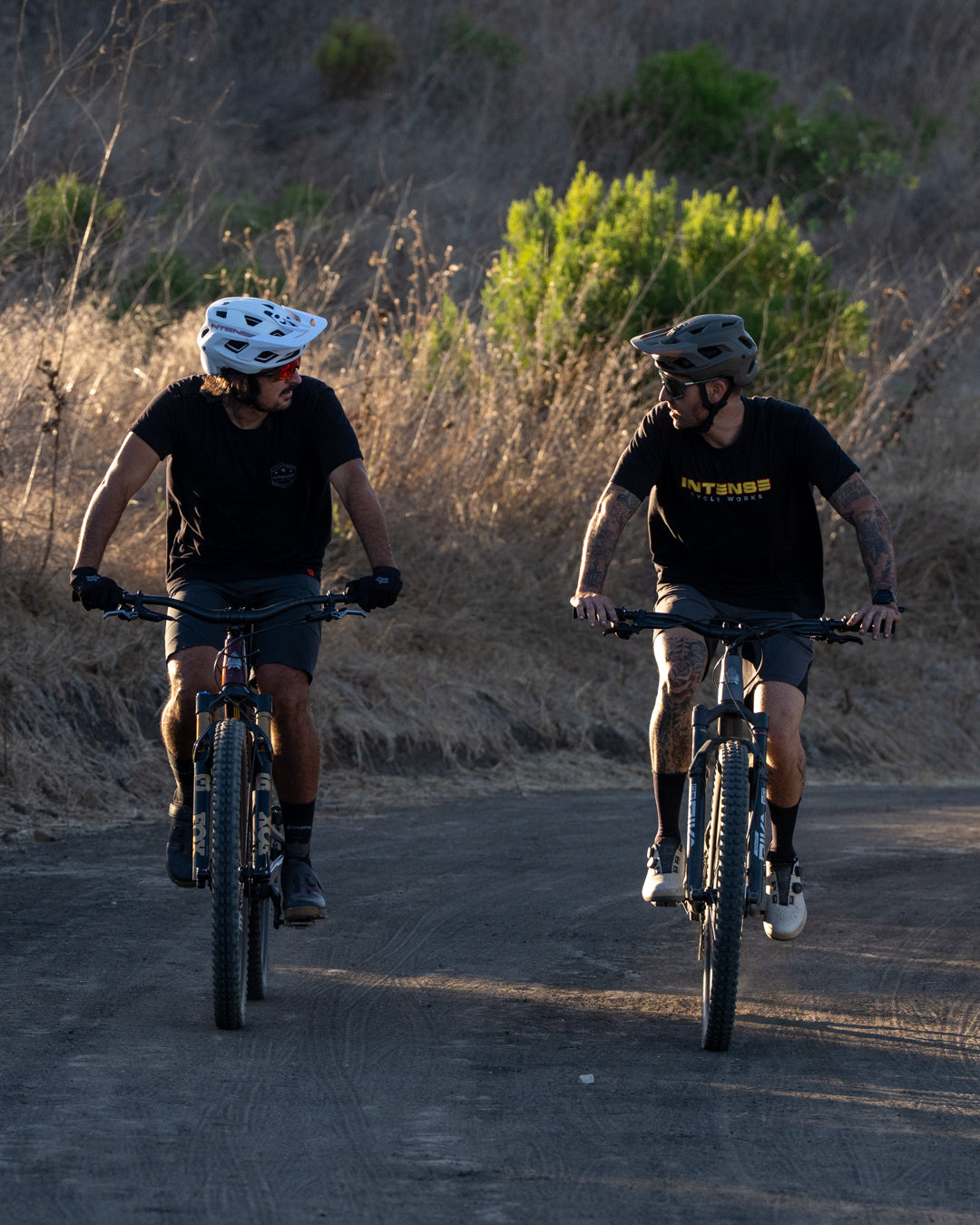 Spider Frame Trail Mountain Bike – INTENSE Cycleworks LLC