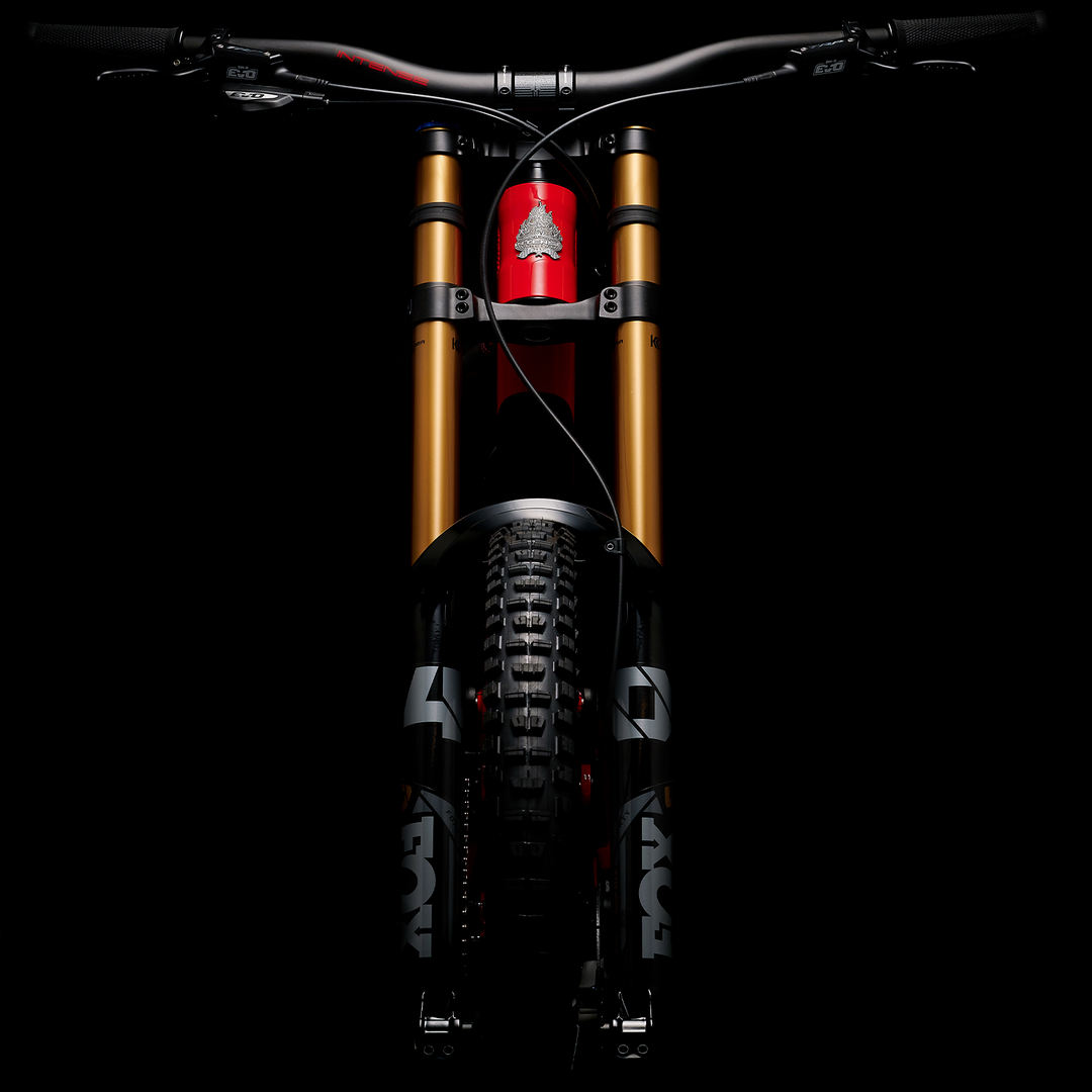 M1 Downhill Mountain Bike Pro Intense Cycles SM