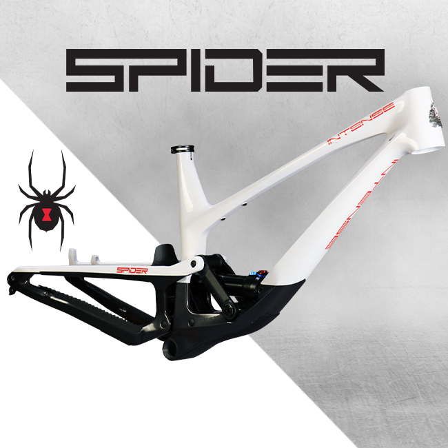 INTENSE - Striking Mountain Bikes since 1993 – INTENSE LLC INTENSE - Striking Mountain Bikes since 1993 – INTENSE LLC