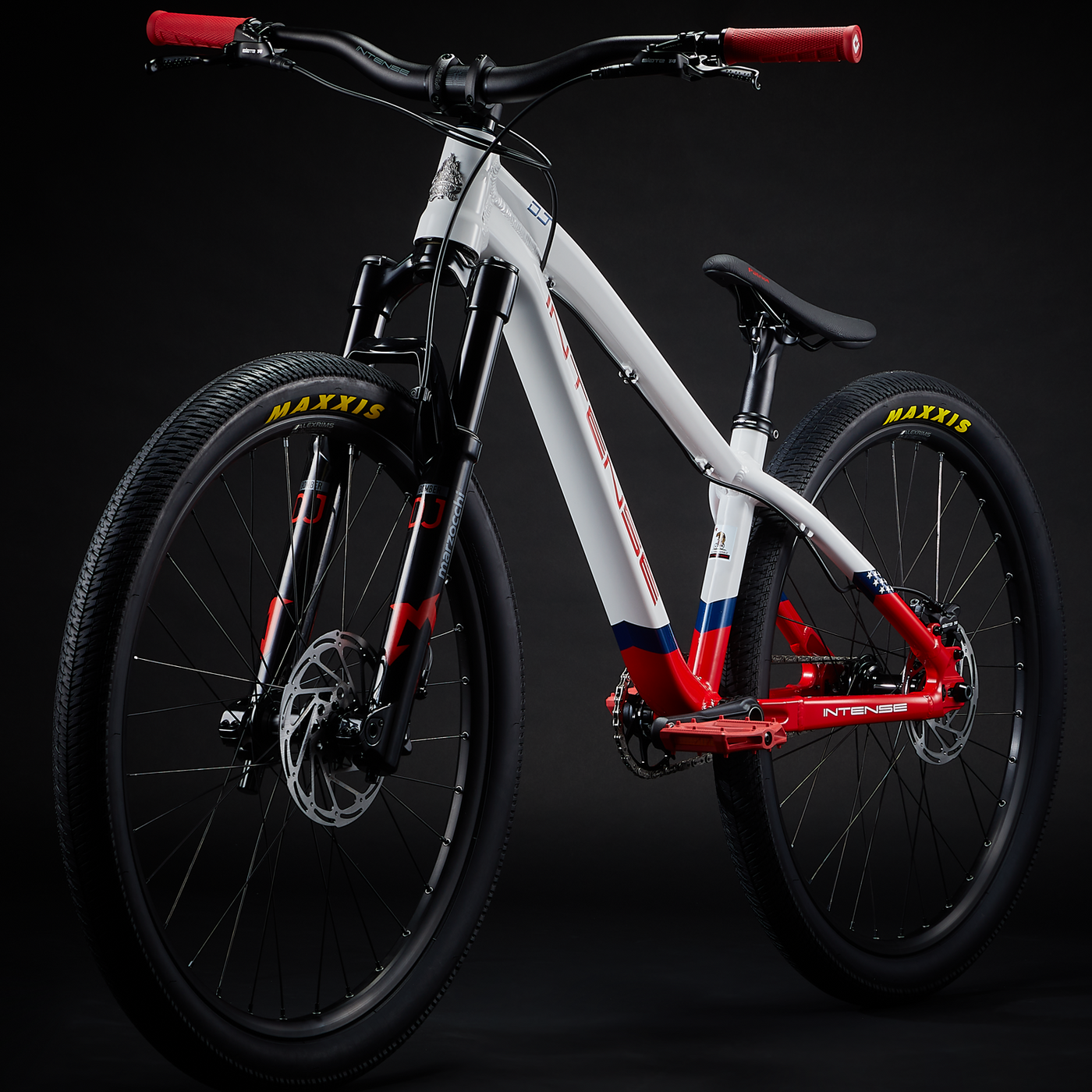 Dirt jump bike center hotsell