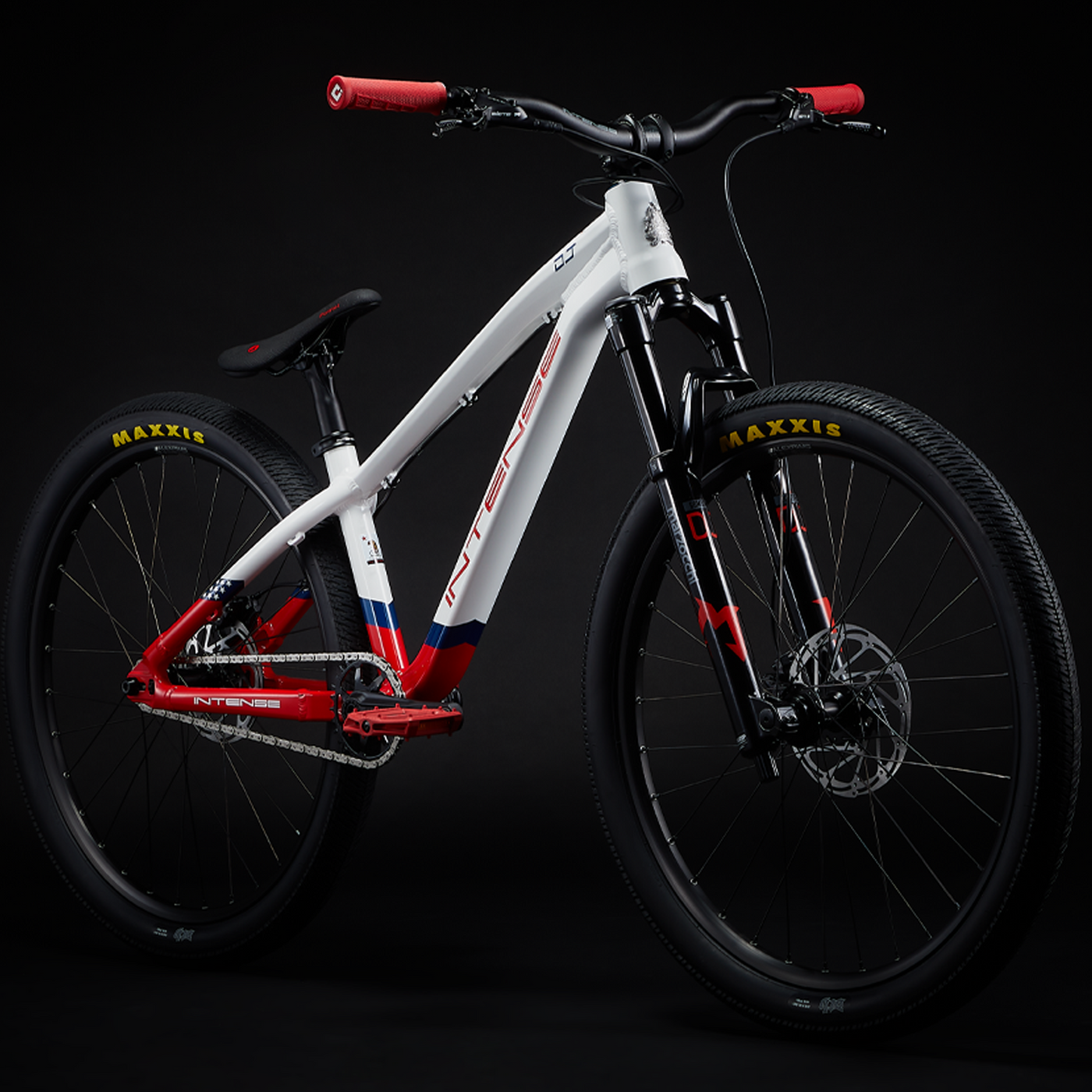 Dirt jumper mtb for hot sale sale
