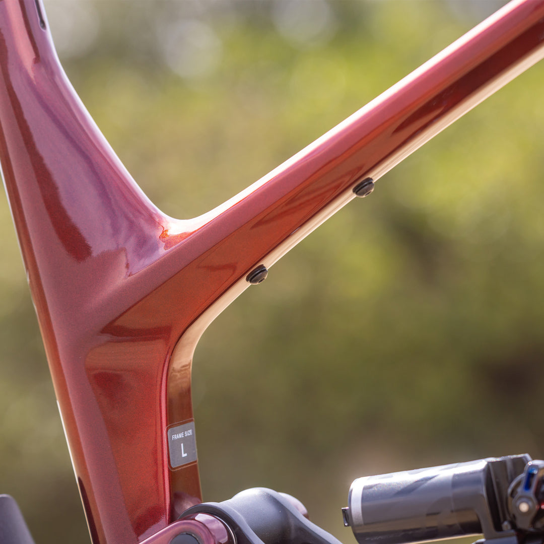 SPIDER FRAME OXBLOOD RED