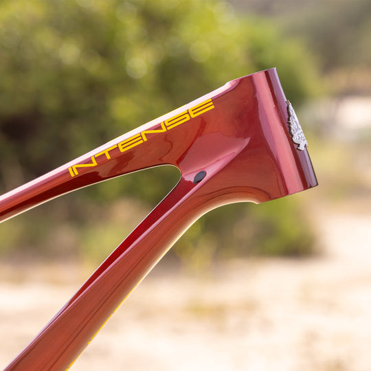 SPIDER FRAME OXBLOOD RED