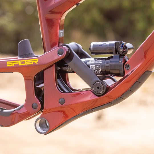 SPIDER FRAME OXBLOOD RED