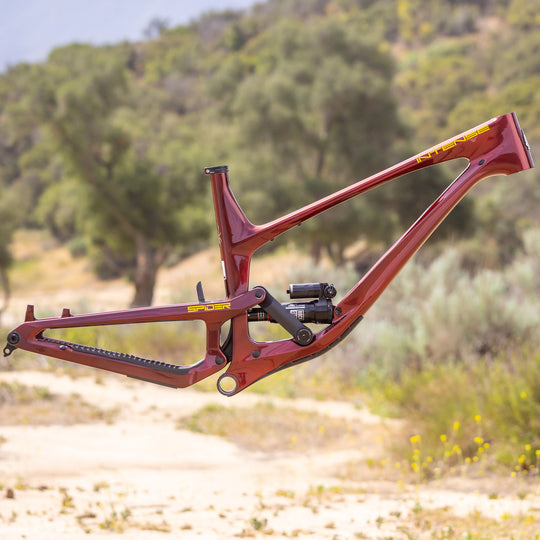 SPIDER FRAME OXBLOOD RED