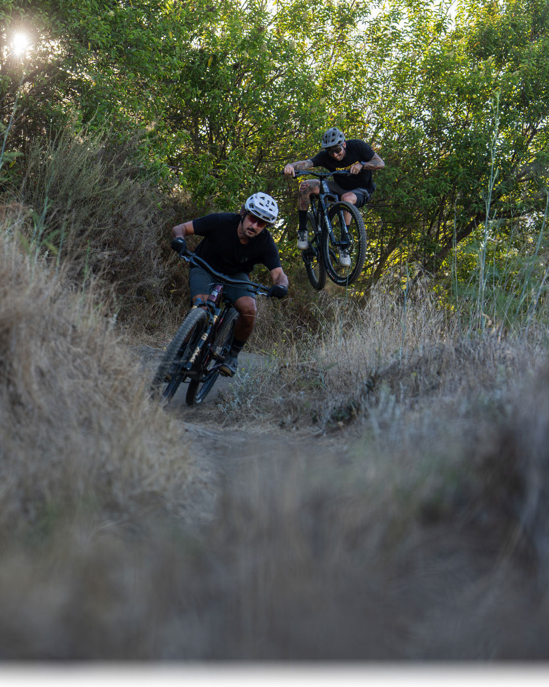Spider Trail Mountain Bike – INTENSE Cycleworks LLC