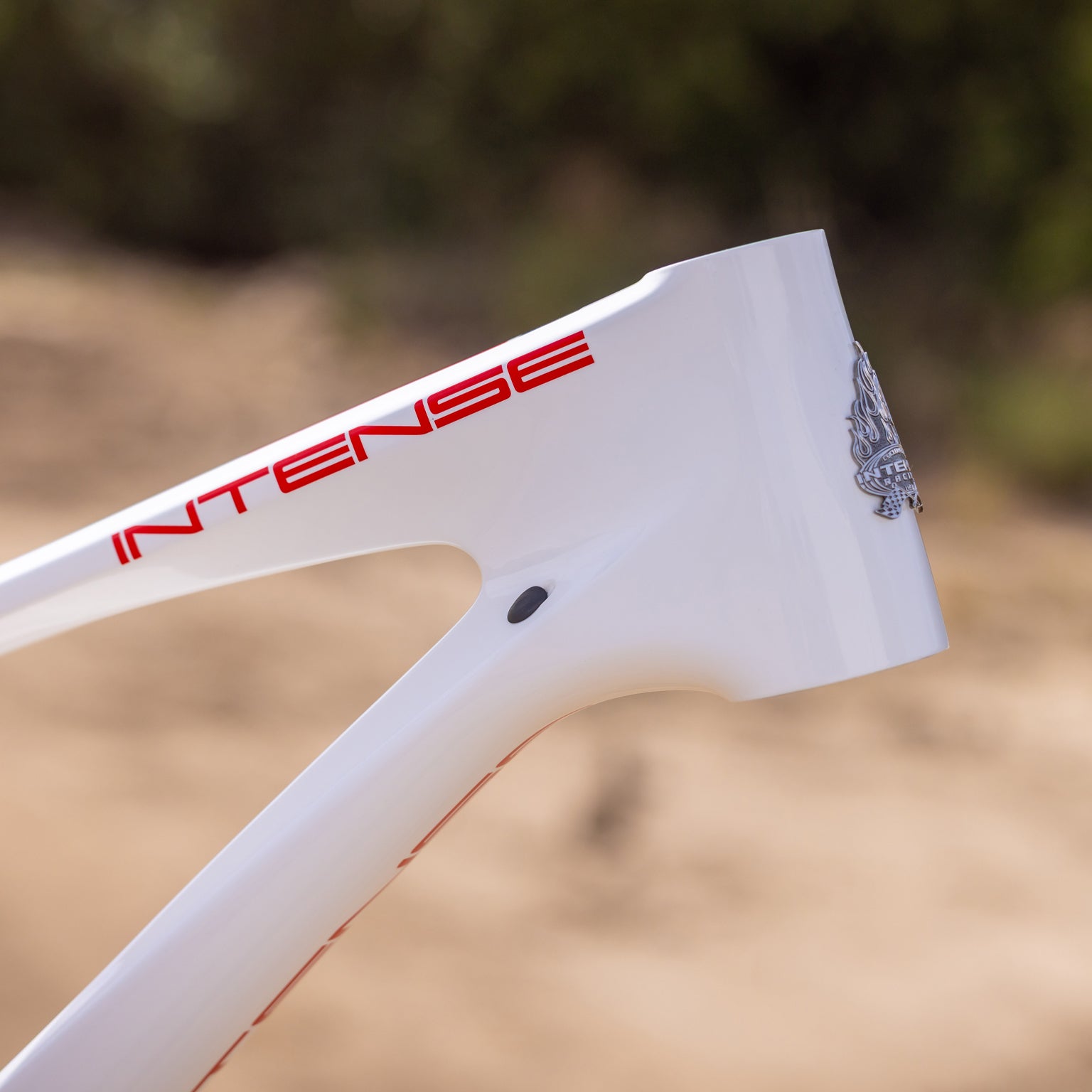 Spider Trail Mountain Bike Frame | INTENSE Cycles – INTENSE LLC