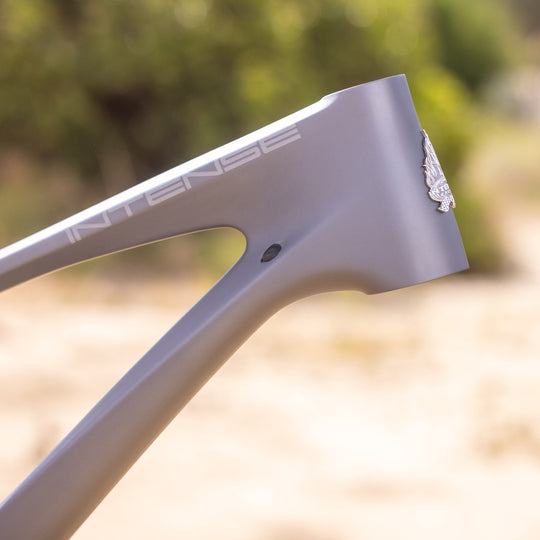 SPIDER FRAME SATIN GRAY