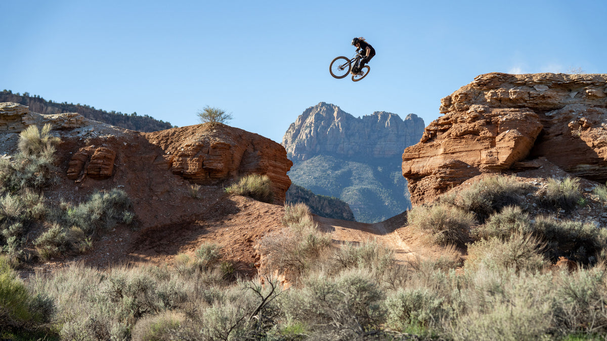 Tazer E-MTB – INTENSE LLC
