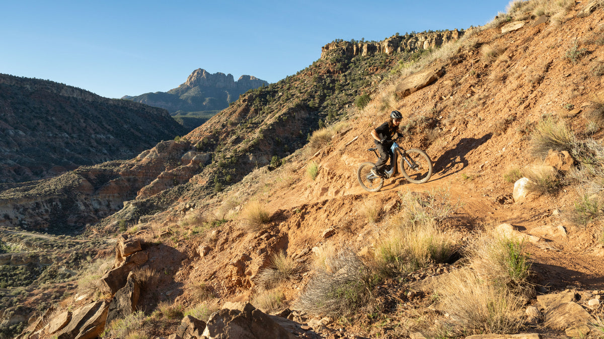 Tazer E-MTB – INTENSE LLC