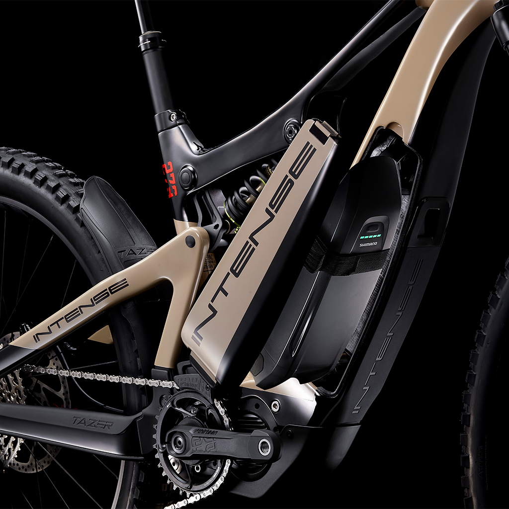 Intense 2024 tazer 2020